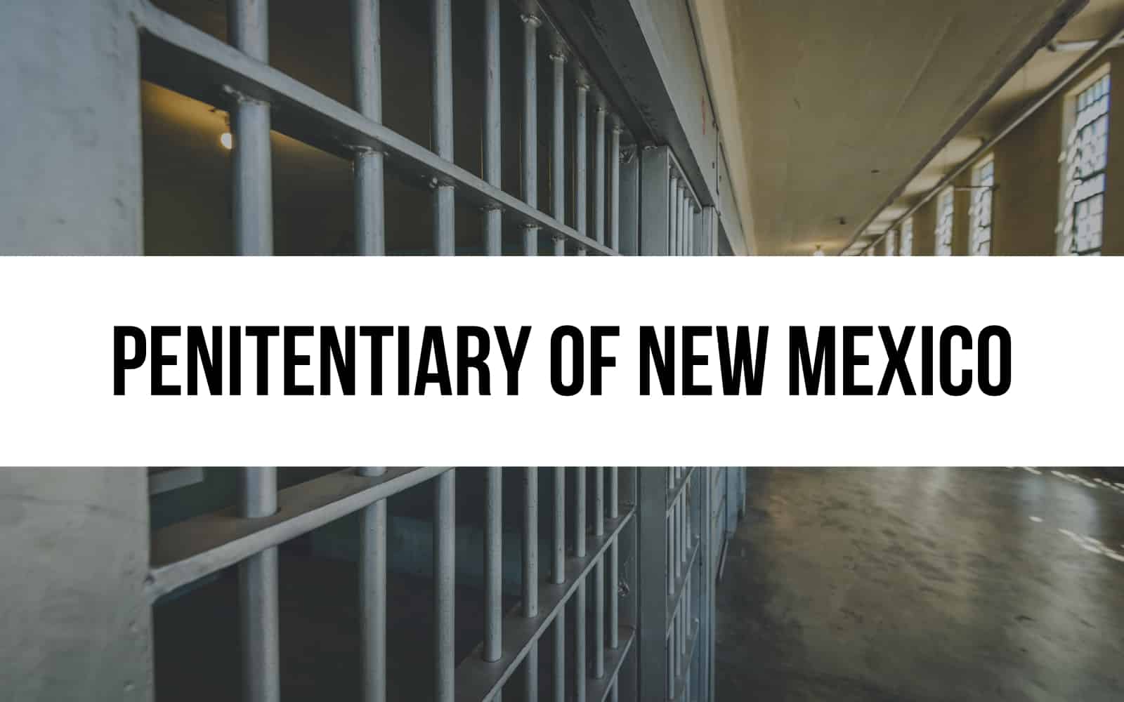 Penitentiary of New Mexico