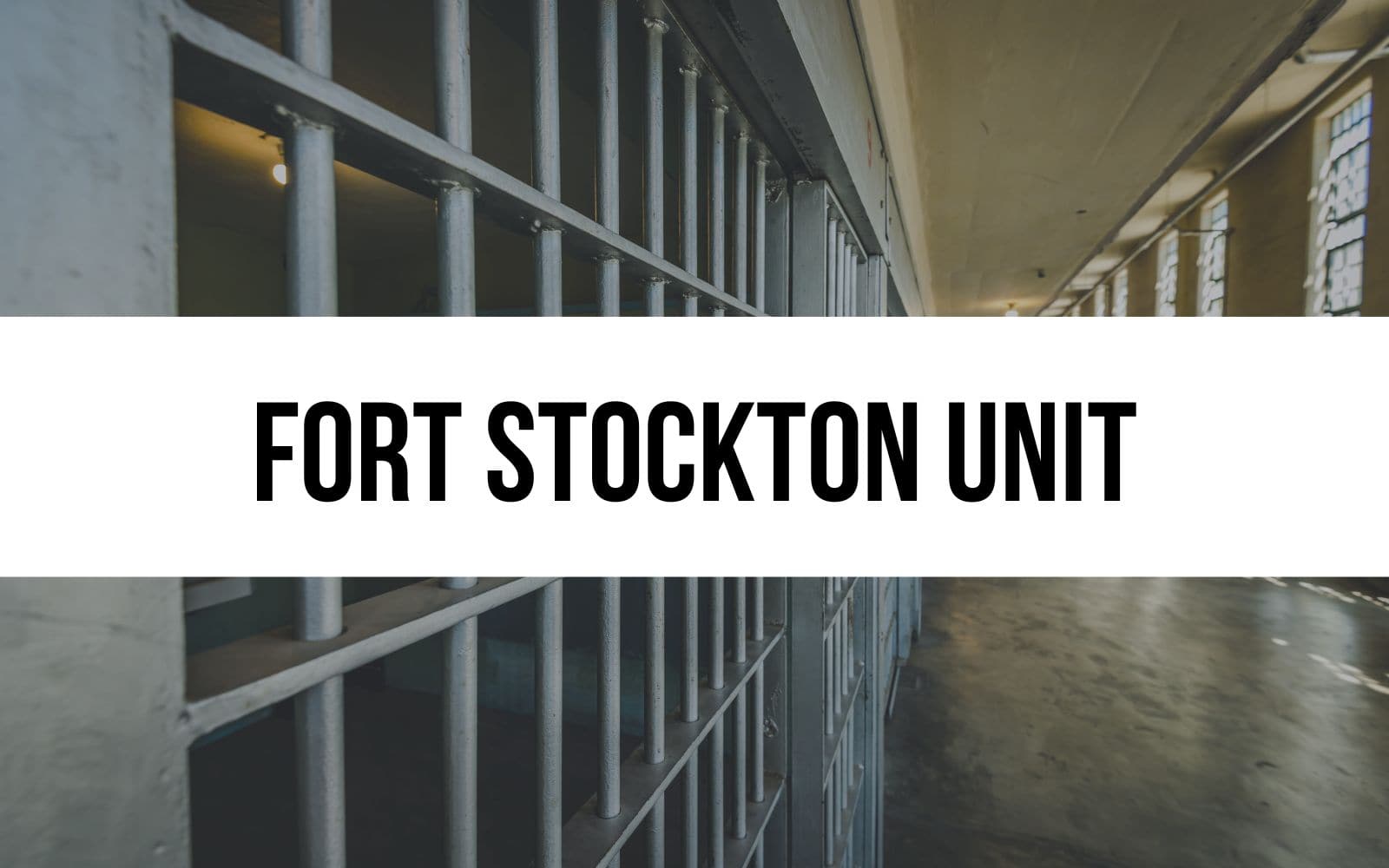 Fort Stockton Unit