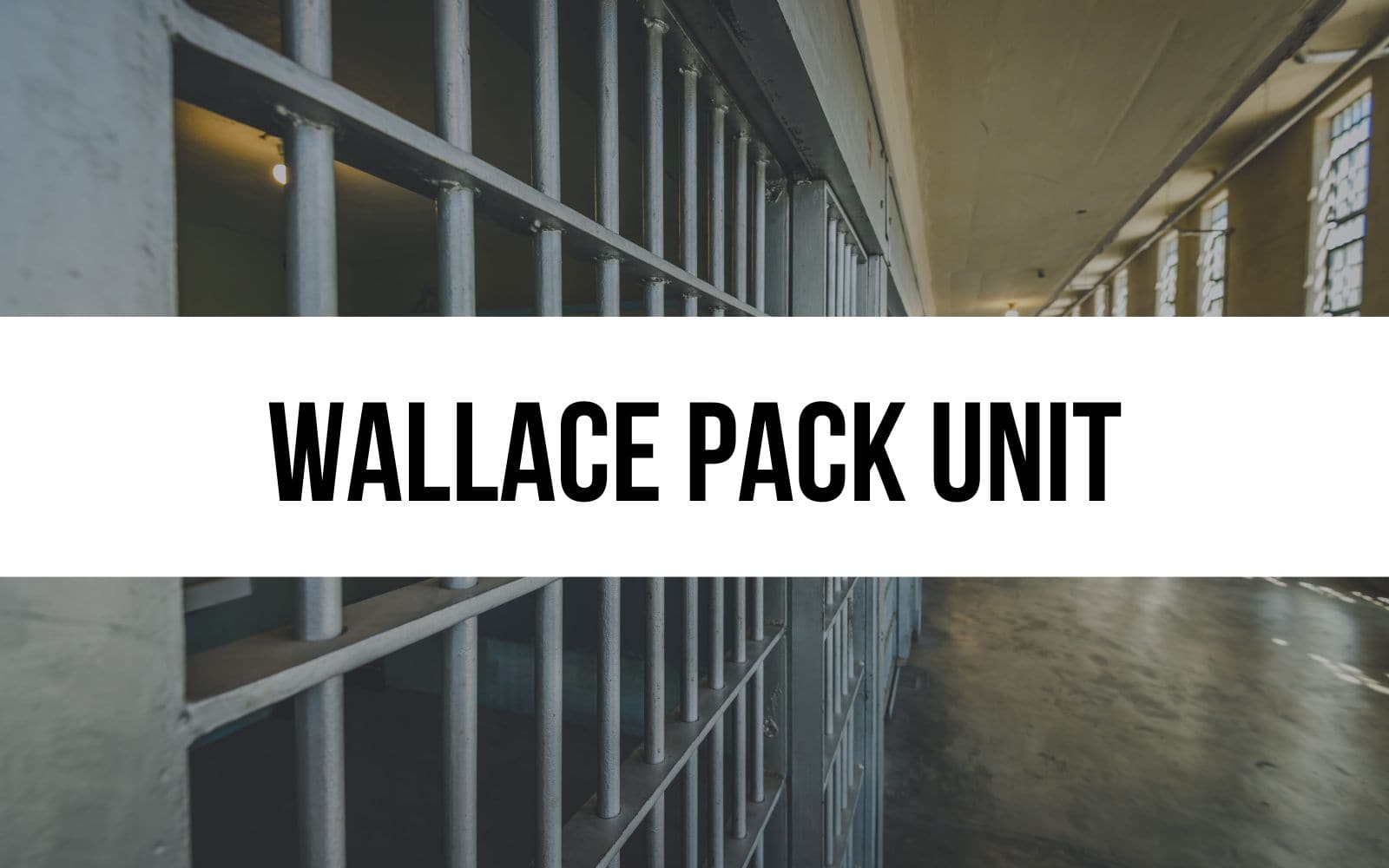Wallace Pack Unit