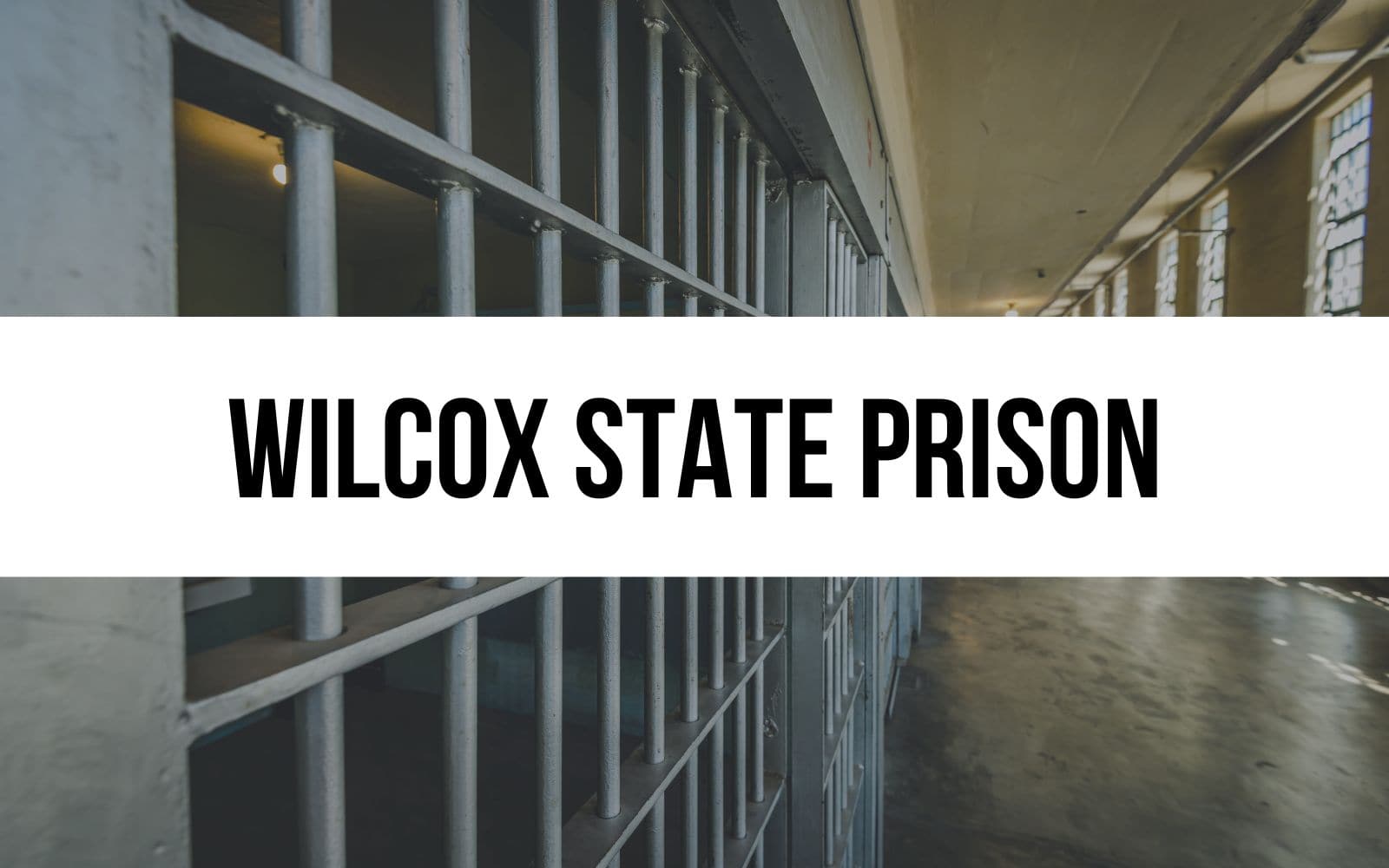 Wilcox State Prison